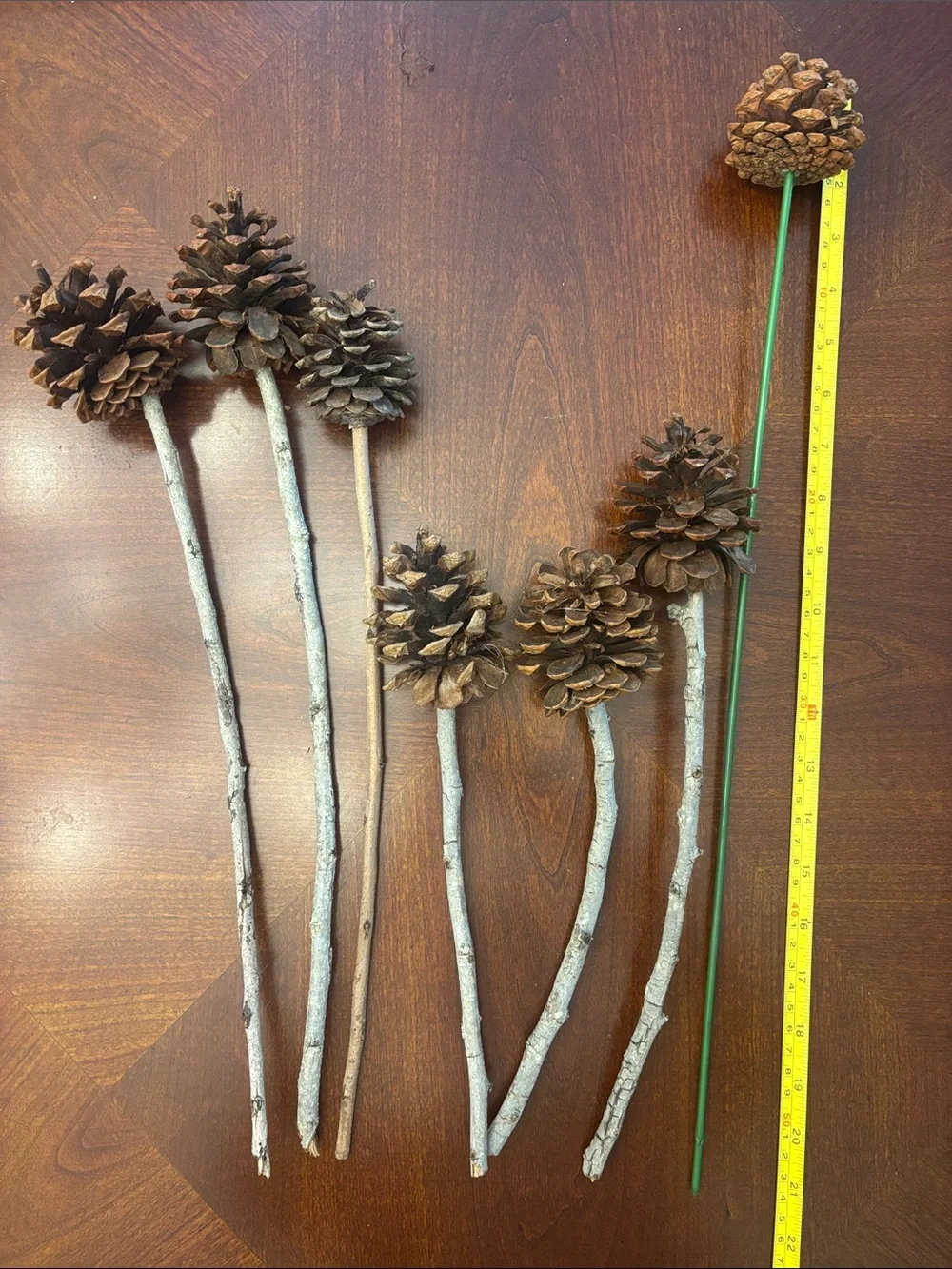 Natural Pinecone Stem Accents - Brown
